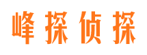 河东区侦探公司